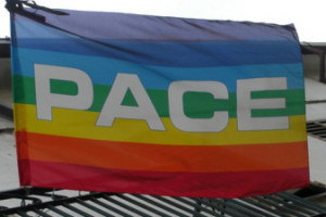 Marcia Pace, partecipa col sindacato