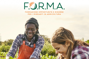 Forma si racconta in un sito