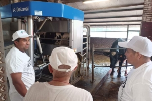 Perù, latte fonte di vita