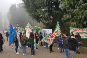 27 esuberi Avicel Limbiate