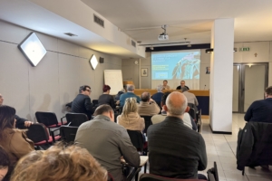 Riforma della magistratura